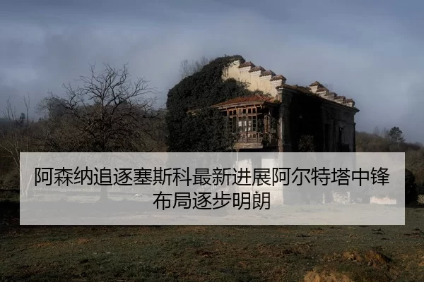 阿森纳追逐塞斯科最新进展阿尔特塔中锋布局逐步明朗