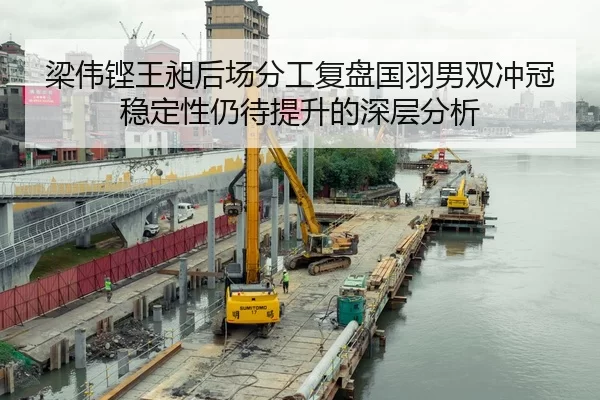 梁伟铿王昶后场分工复盘国羽男双冲冠稳定性仍待提升的深层分析