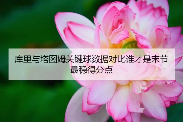 库里与塔图姆关键球数据对比谁才是末节最稳得分点